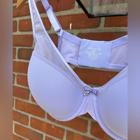 Curvy Couture Sheer Mesh Push-Up T-Shirt Bra in Lavender Mist - Picture 3 of 9
